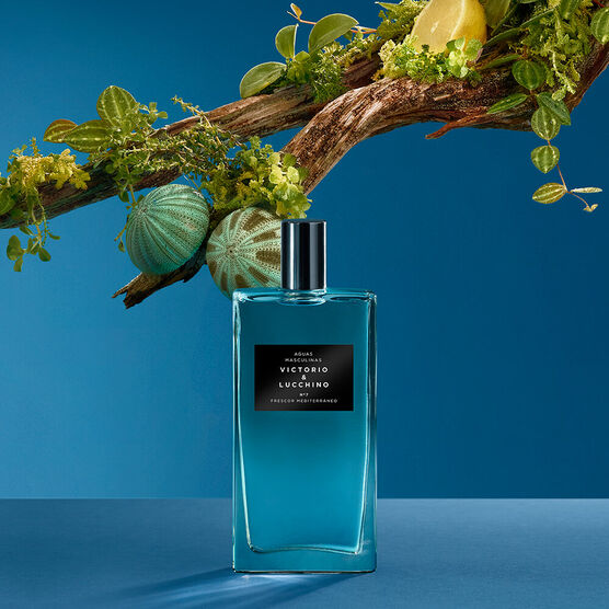 VICTORIO L FRESCOR MEDIT EDT  150ML